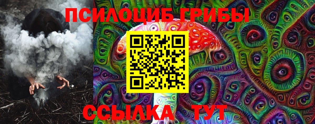 Псилоцибиновые грибы Cubensis Ялуторовск